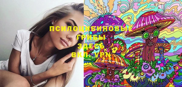 ECSTASY Волоколамск