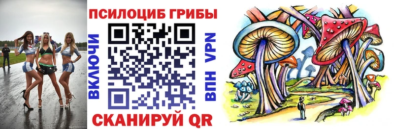 закладки  Долгопрудный  Галлюциногенные грибы мицелий 